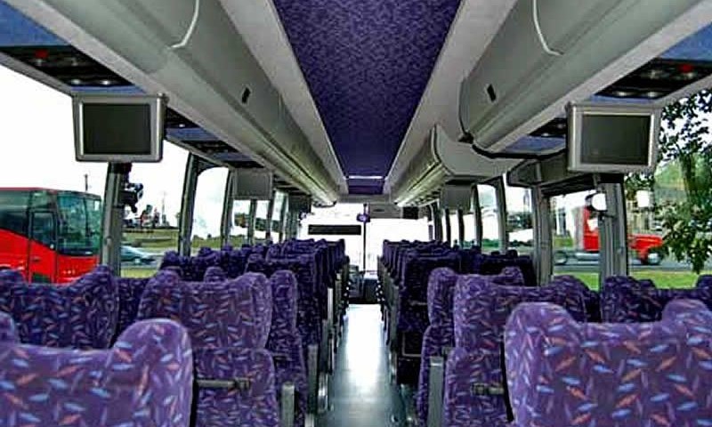 55 pax bus image